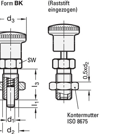 GANTER Rastbolzen GN 817 d1 6 mm d2 M 12 x 1,5 mm l1 6 mm ( 4601001424 )