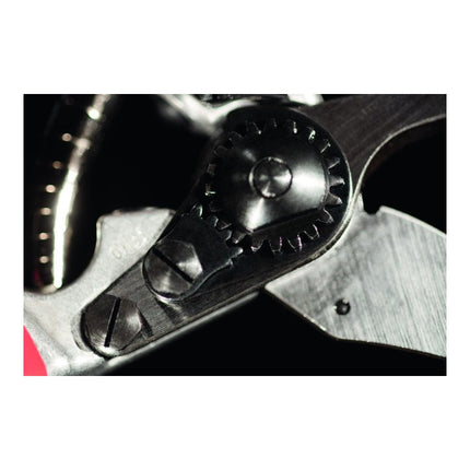 FELCO pruning shears FELCO 5 Total length 225 mm ( 4000815625 )