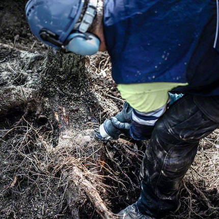 Lama alternativa BOSCH Expert Tough Wood lunghezza 225 mm larghezza 25 mm ( 4000837497 )