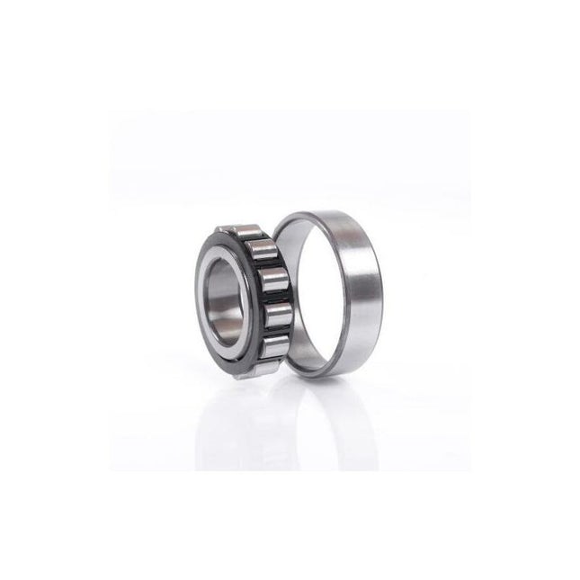 FAG cylindrical roller bearing N204 -E-XL-TVP2-C3 Inner Ø 20 mm Outer Ø 47 mm ( 8000527840 )