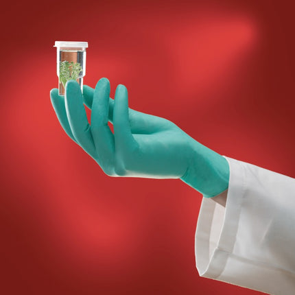 ANSELL Einweghandschuhe Microflex NeoTouch® 25-101 Größe 9,5-10 hellgrün ( 4000371475 )