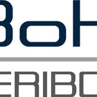 Sollevatore ad aspirazione Veribor ( 4000817357 ) Portata 100 kg Testa Ø 120 mm