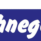 Schnegel Schraubwechselstift ( 3000259902 ) Vierkant 8 x 100 mm