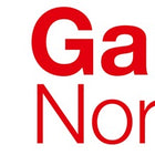 Leva di serraggio regolabile Ganter GN 300.1 ( 4601000453 ) filettatura esterna d1 M 10 mm