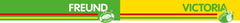 Collection image for: Fugenkratzer & Unkrautstecher