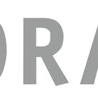 Balai de jardin Flora ( 4000819589 ) Largeur 440 mm Polyamide