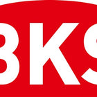 BKS Blokada śruby kompasu 0371/0372 ( 3000250897 ) Śruba kompasu 20 x 172 mm