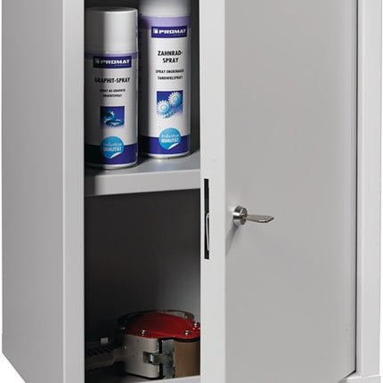 Wall cabinet ( 9000453656 ) H600xW400xD300 mm solid sheet metal, 1 shelf light grey, RAL 7035/light grey, RAL 7035