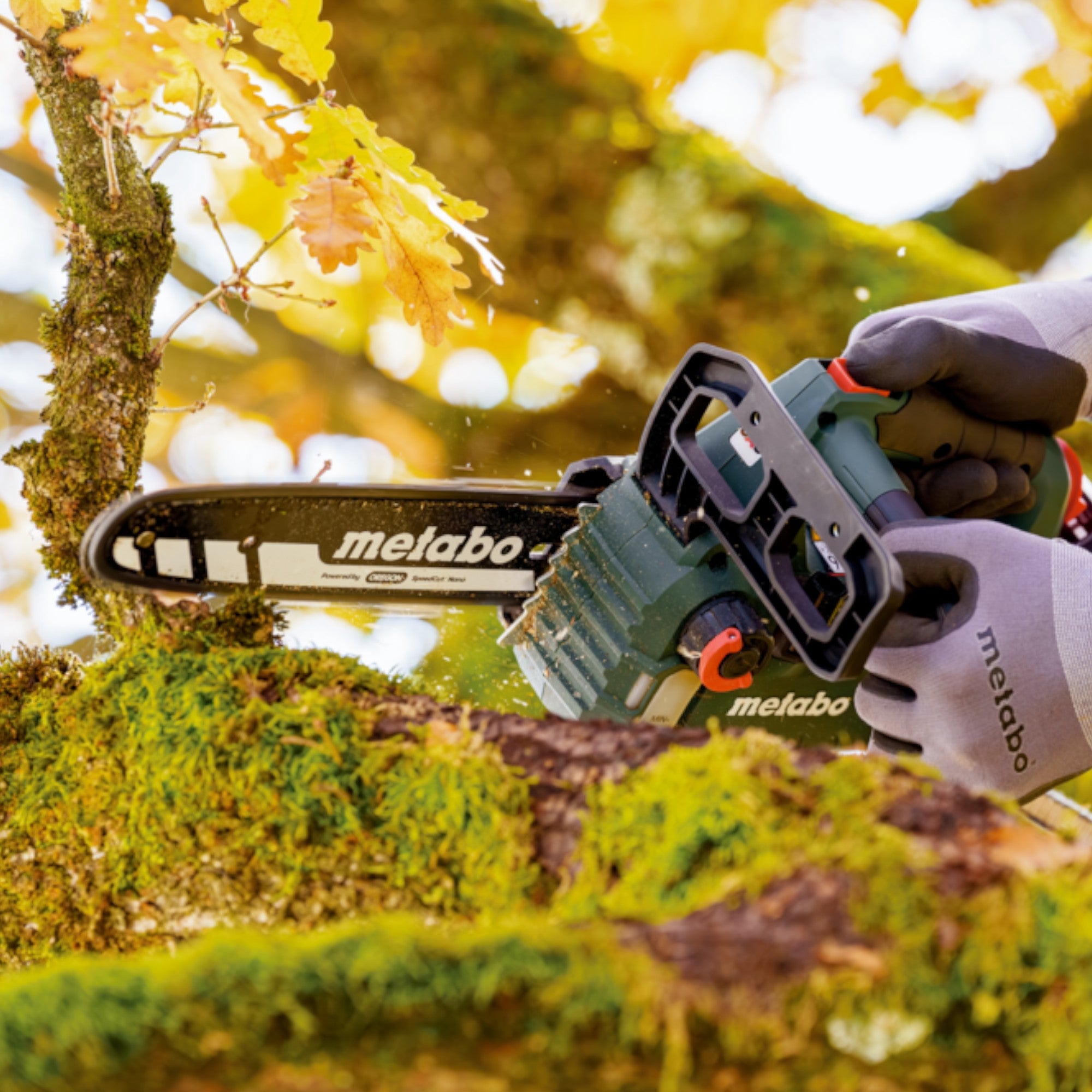 Metabo MS 18 LTX BL 25 Akku Kettensaege 18 V 25 cm Brushless Solo 601595850 ohne Akku ohne Ladegeraet 2 - toolbrothers