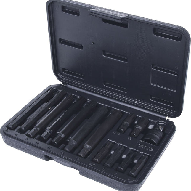 KS TOOLS 5/16" RIBE® Bit-Satz, 14-tlg ( 911.4306 ) - Toolbrothers