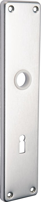 EDI Renovierschildpaar 220 Z Edelstahl F00 ( 3000261359 )