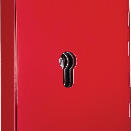 FORMAT Schlüsselbox NS 2 PHZ H150xB120xT34 mm ( 3000291842 )