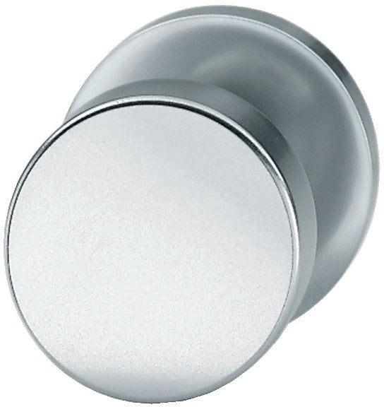 Pomello FSB 23 0829 0005 Acciaio inox 6204 ( 3311302033 )