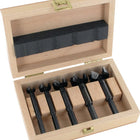FAMAG Forstner bit set Bormax 1622 5-piece ( 4000863751 )