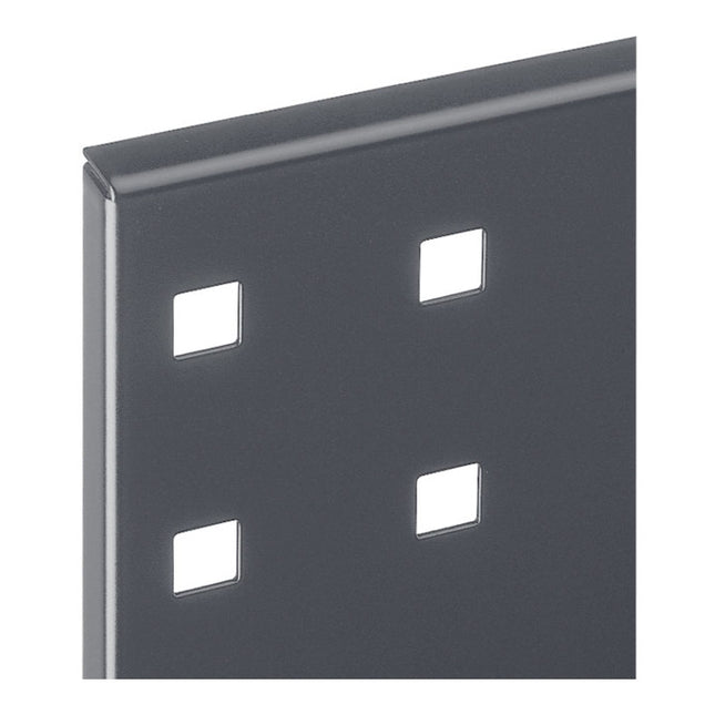 RASTERPLAN Lochplatte B450xL500mm ( 9000428174 )